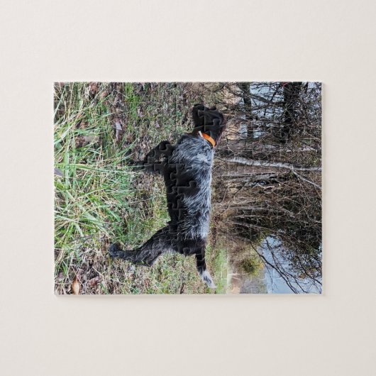 Puzzle Sur le chiot de point (Horizontal)