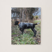 Puzzle Sur le chiot de point (Vertical)