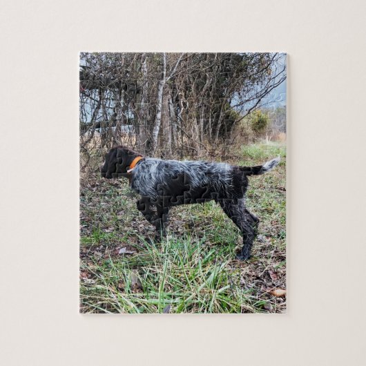 Puzzle Sur le chiot de point (Vertical)