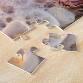 Puzzle Surf Et Coquillages Entrants Sur L'Île De Sanibel (Côté)
