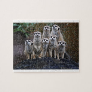 Puzzle Suricate Animal Safari Afrique Mignon