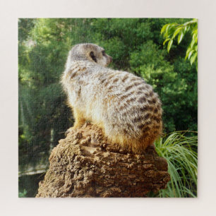Puzzle Suricate avec de hautes vues,