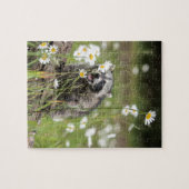 Puzzle Surprise de raton laveur (Horizontal)