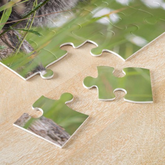 Puzzle Surprise de raton laveur (Côté)