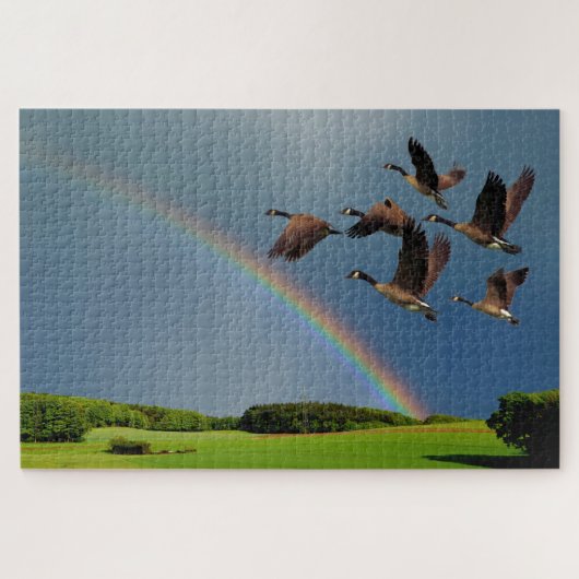 PUZZLE SURVOL DE LA PLUIE (Horizontal)