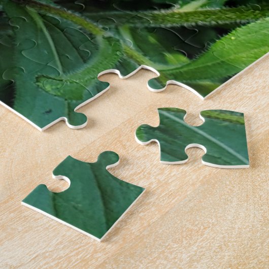 Puzzle Susans à oeil noir (Côté)