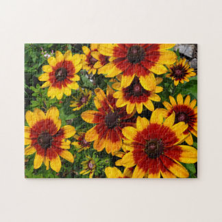 Puzzle Susans aux yeux noirs