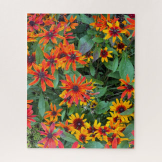 Puzzle Susans colorés aux yeux noirs dans le Vermont