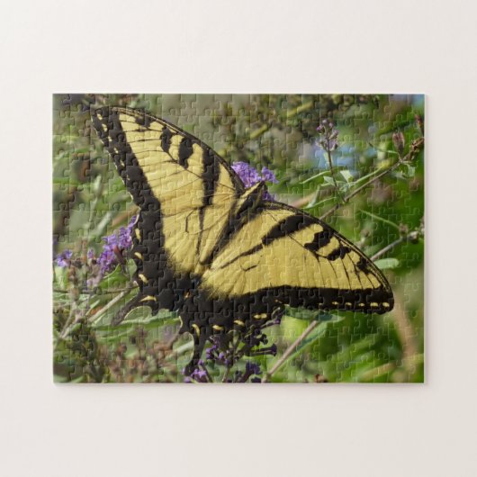 Puzzle Swallowtail sur Butfly Bush (Horizontal)