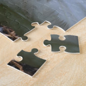 Puzzle Swan (Côté)