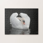 Puzzle Swan Natation (Horizontal)