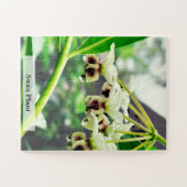 Puzzle Swan Plant: Monarch’s First Home 30 Pcs (Horizontal)