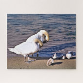 PUZZLE SWANS (Horizontal)