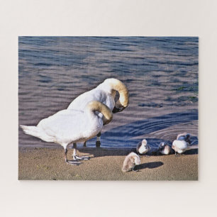 PUZZLE SWANS