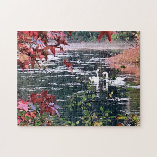 Puzzle - Swans à Jenney Pond (Horizontal)