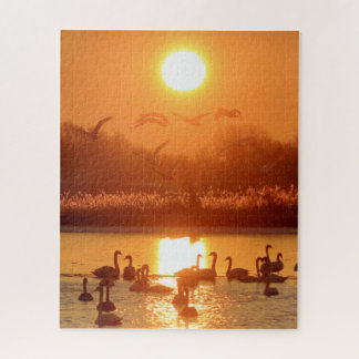 Puzzle Swans dans le lac au coucher du soleil