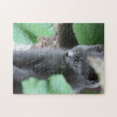 Puzzle Sweet Baby Kitten (Horizontal)