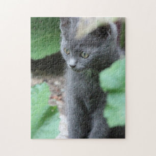Puzzle Sweet Baby Kitten