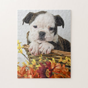 Puzzle Sweet Bulldog Puppy