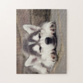 Puzzle Sweet Sibérie Husky Puppy Sleeping (Vertical)
