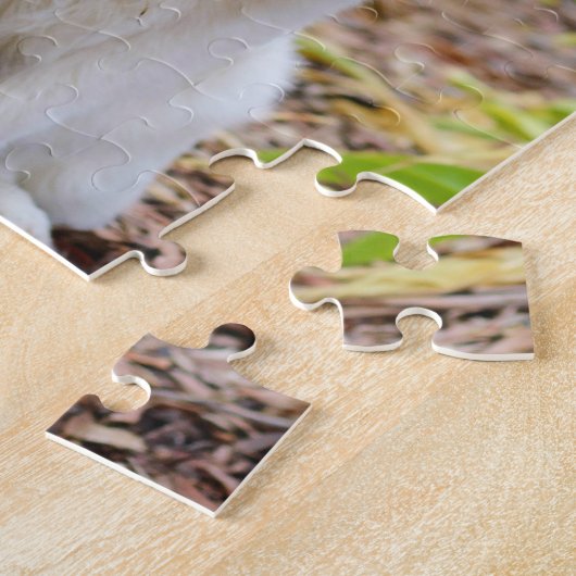 Puzzle Sweet White Lapp Hund Chien Green Arrière - plan P (Côté)