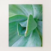 Puzzle Swirl Succulent (Vertical)