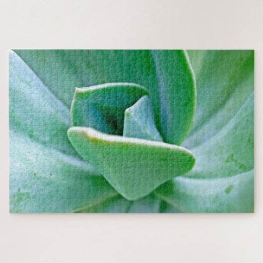 Puzzle Swirl Succulent (Horizontal)