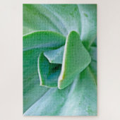 Puzzle Swirl Succulent (Vertical)