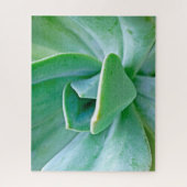 Puzzle Swirl Succulent (Vertical)