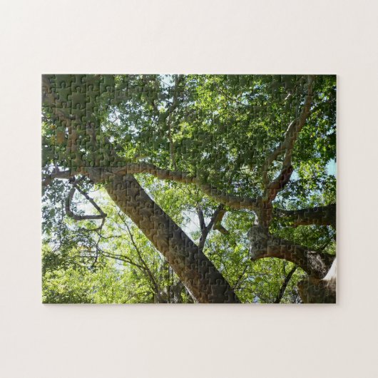 Puzzle Sycamore Tree Nature verte (Horizontal)