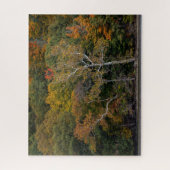 Puzzle Sycamores d'automne (Vertical)