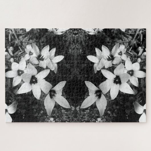 Puzzle Symétrie Silencieuse (Horizontal)