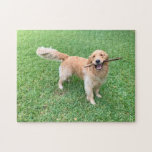 Puzzle Sympa Golden Retriever Chien photo Green Nature<br><div class="desc">Cet adorable récupérateur d'or qui joue à la lecture dans la belle herbe verte de l'été est voué à vous faire sourire. Un cadeau de puzzle pour chien mignon.</div>