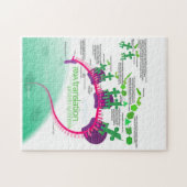 Puzzle Synthèse de la protéine Diagramme de la traduction (Horizontal)