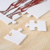 Puzzle Système, avant et dos musculaires (Côté)