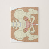 Puzzle Système de reproduction féminine 3 (Vertical)