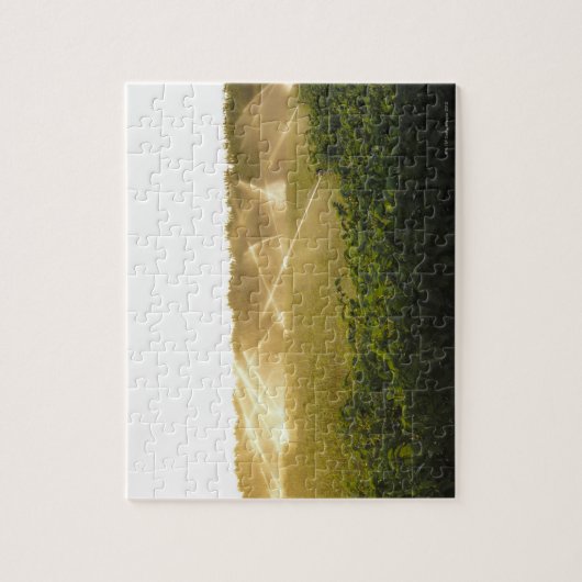 Puzzle Système d'irrigation agricole arrosant 2 (Vertical)