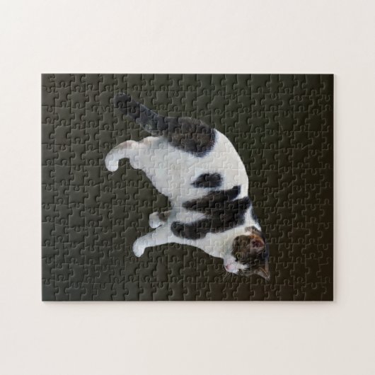 Puzzle Tabby Blanc Avec Patches Sombres (Horizontal)