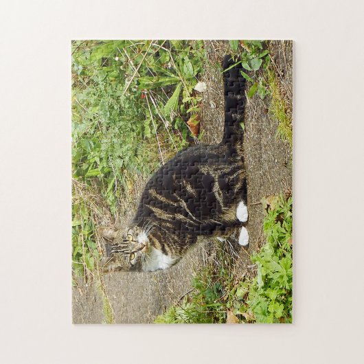 Puzzle Tabby cat (Vertical)