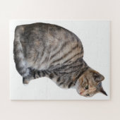 Puzzle Tabby Cat adulte (Horizontal)