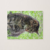 Puzzle Tabby Cat Jigsaw (Horizontal)