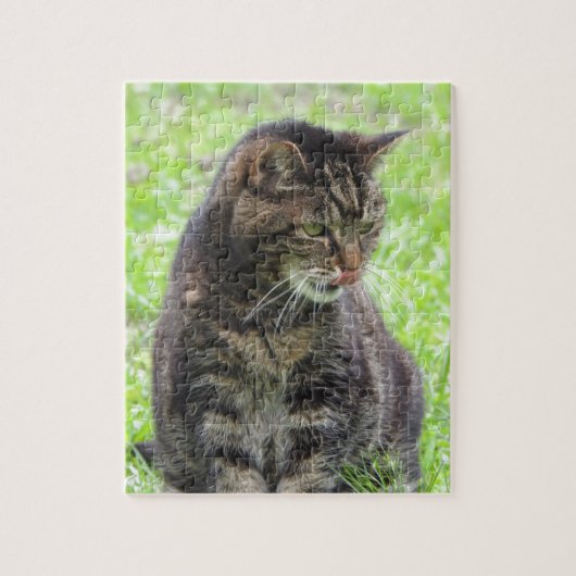 Puzzle Tabby Cat Jigsaw (Vertical)