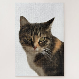 Puzzle Tabby Cat Portrait Artistique Sur Arrière - plan B