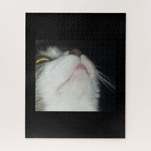 Puzzle Tabby chat recherche gros arrière - plan noir (Vertical)