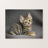 Puzzle Tabby chatte moelleux chatte bébé (Horizontal)