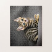 Puzzle Tabby chatte moelleux chatte bébé (Vertical)