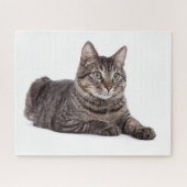Puzzle Tabby Gris (Horizontal)