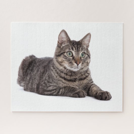 Puzzle Tabby Gris (Horizontal)