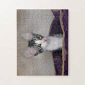 Puzzle Tabby Kitten dans un lit violet (Vertical)