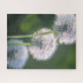 Puzzle Tableau à trois fleurs de pissenlit (Horizontal)